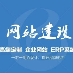 三门峡SaaS级网络营销与谷雨供网络技术服务推荐